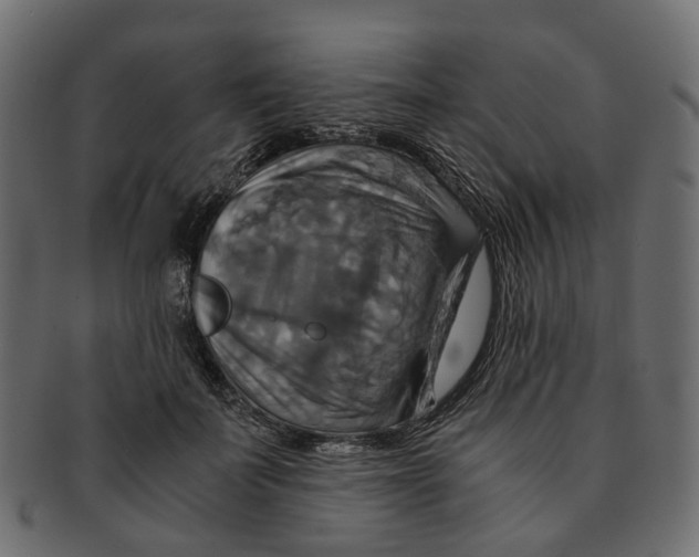 X0000091540699200709071104