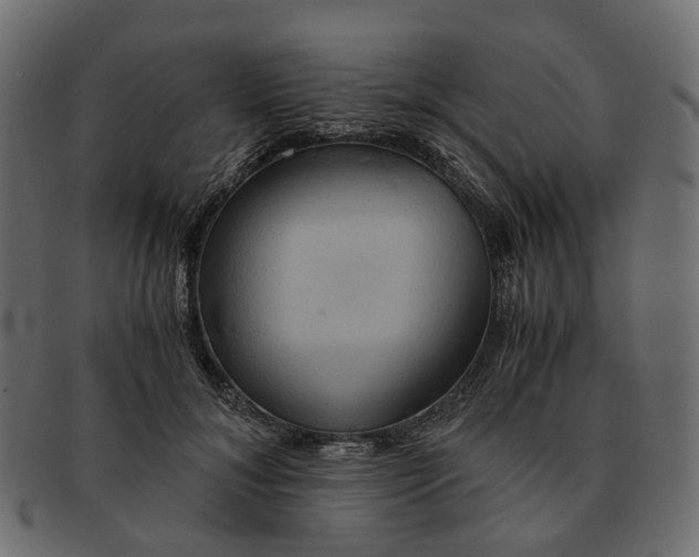 X0000091540700200709071104