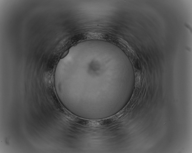 X0000091540701200709071104