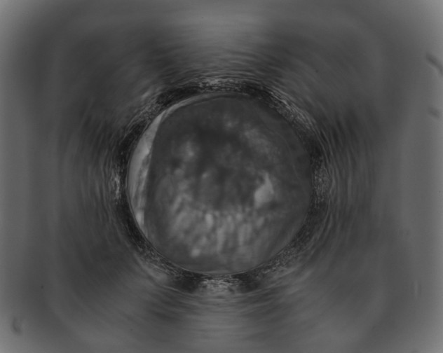 X0000091540703200709071104