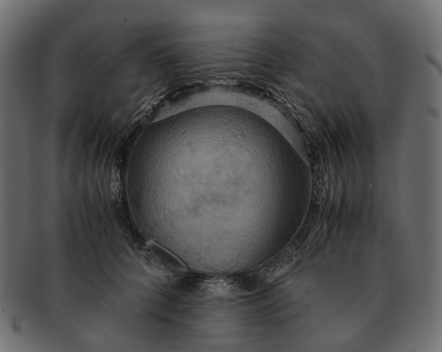 X0000091540704200709071104