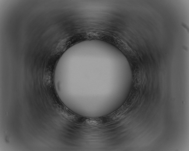 X0000091540706200709071104