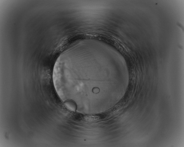 X0000091540707200709071104