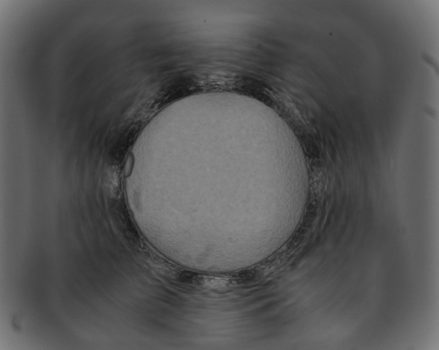 X0000091540709200709071104