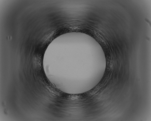 X0000091540710200709071104