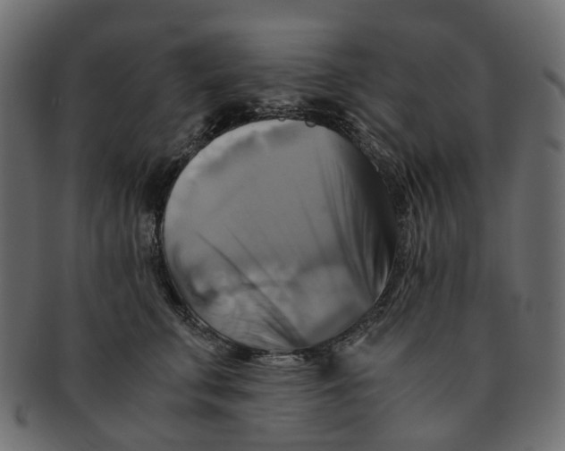 X0000091540711200709071104