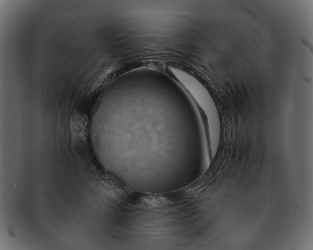 X0000091540712200709071104