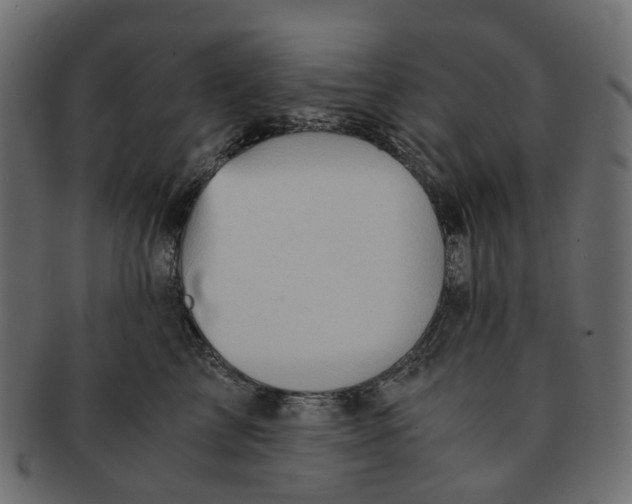 X0000091540713200709071104