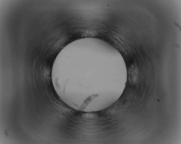 X0000091540714200709071104