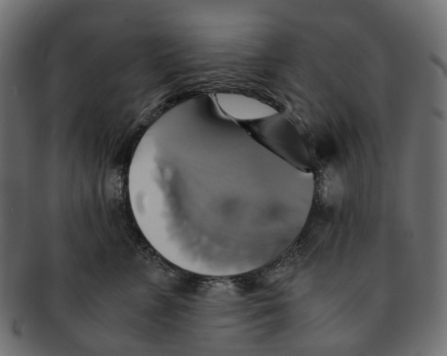 X0000091540715200709071104