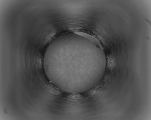 X0000091540716200709071104