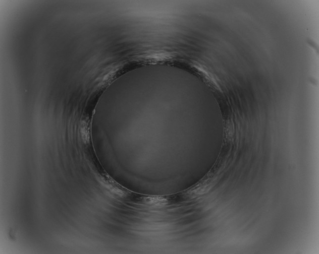 X0000091540719200709071104