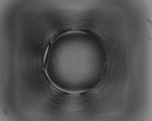 X0000091540720200709071104