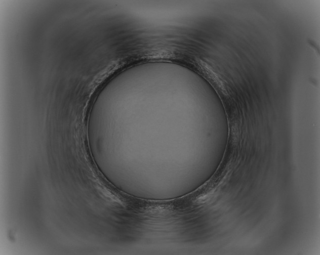 X0000091540721200709071103