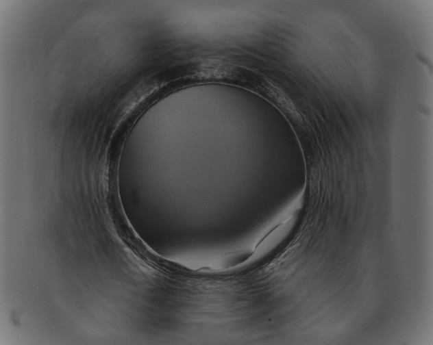 X0000091540722200709071103