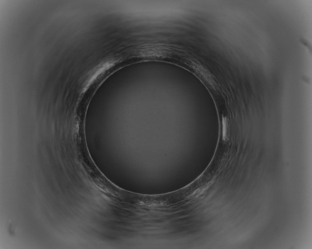 X0000091540723200709071103