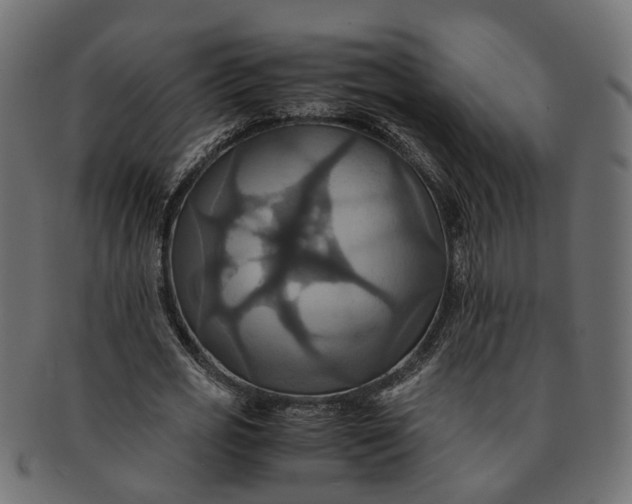 X0000091540725200709071103