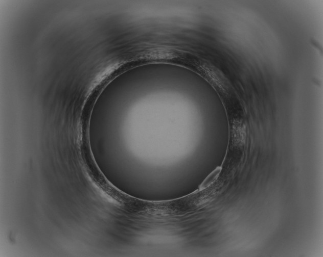 X0000091540726200709071103