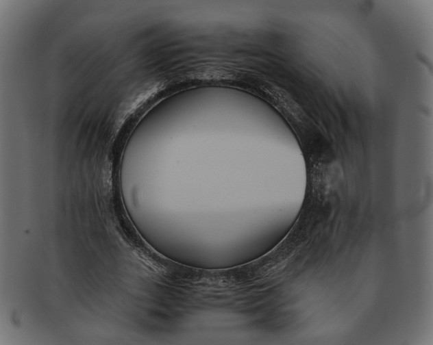 X0000091540727200709071103