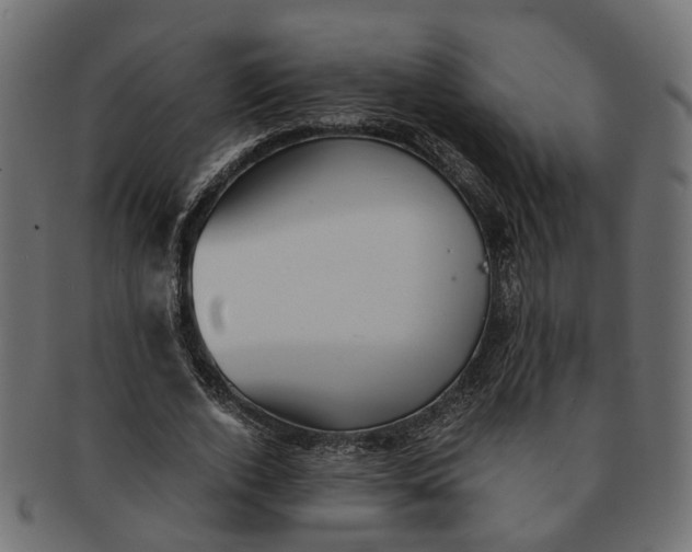 X0000091540728200709071103