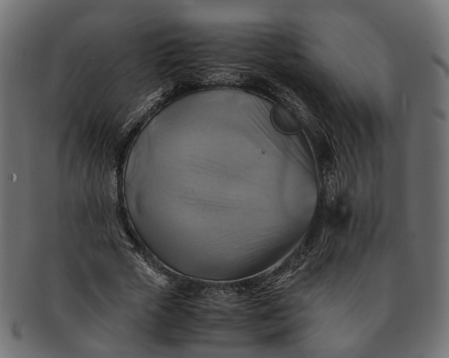 X0000091540729200709071103