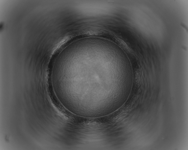 X0000091540730200709071103