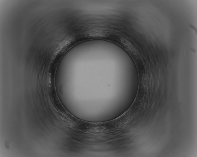 X0000091540731200709071103