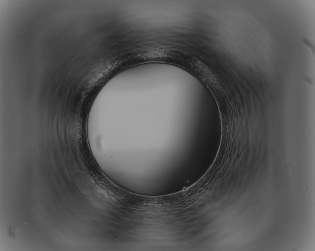 X0000091540732200709071103