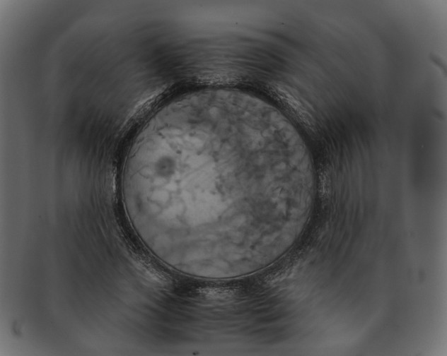 X0000091540733200709071103