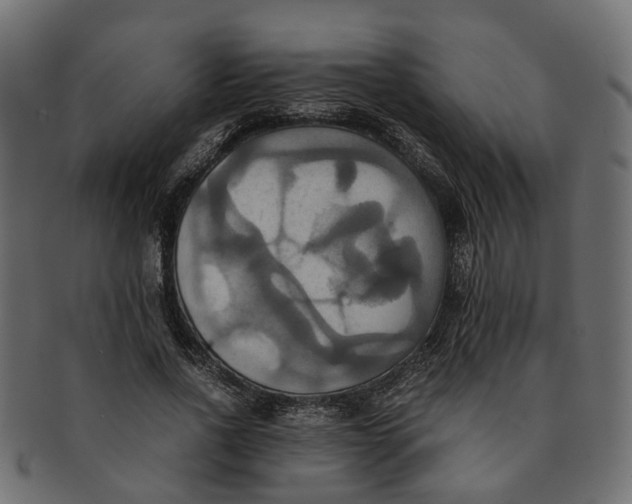 X0000091540734200709071103