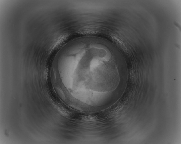 X0000091540735200709071103