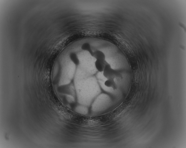 X0000091540737200709071103