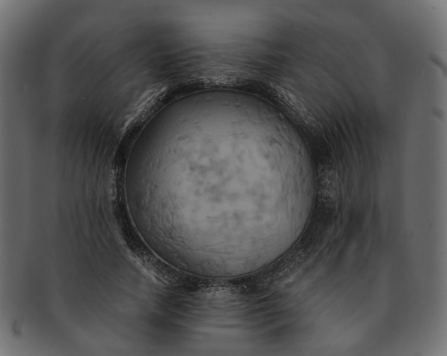 X0000091540738200709071103