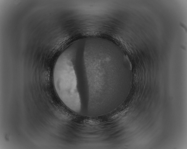 X0000091540739200709071103