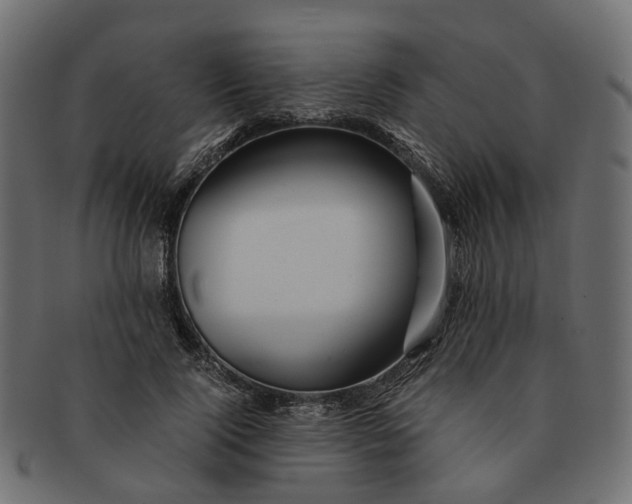 X0000091540740200709071103