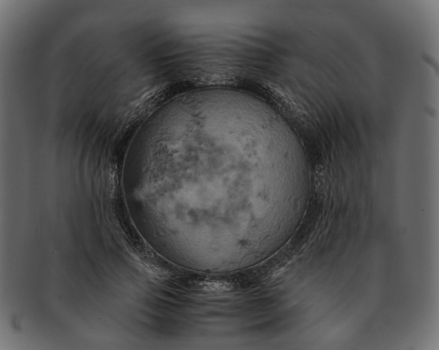 X0000091540741200709071103