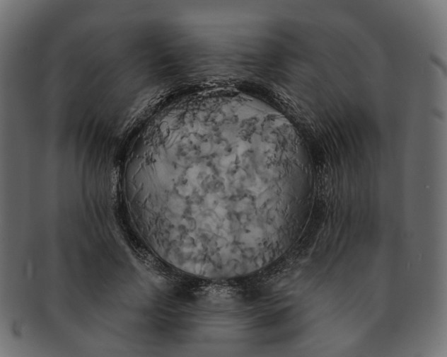 X0000091540742200709071103