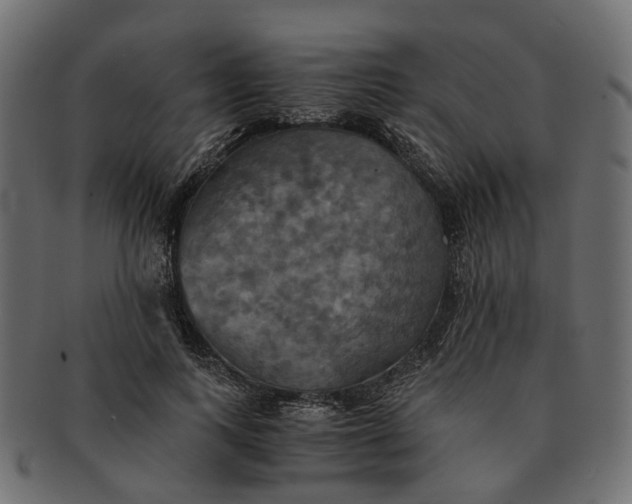 X0000091540743200709071103