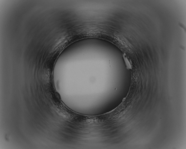 X0000091540744200709071103