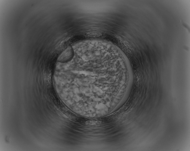 X0000091540745200709071103