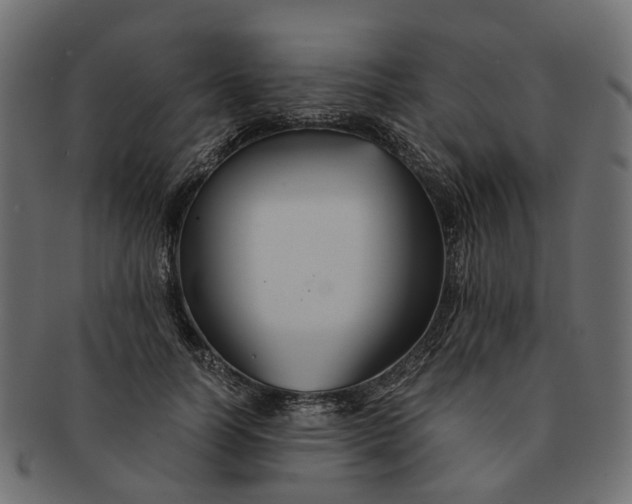 X0000091540746200709071103