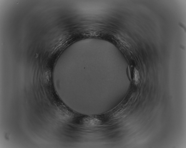 X0000091540747200709071103