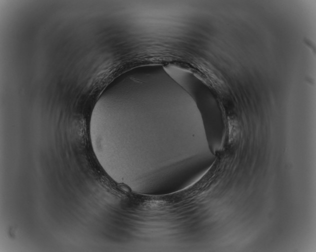 X0000091540748200709071103