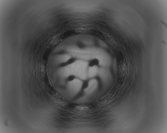 X0000091540749200709071103