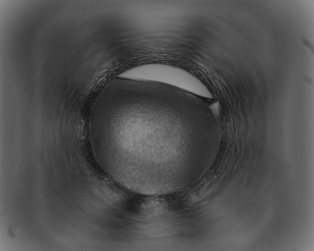 X0000091540750200709071104