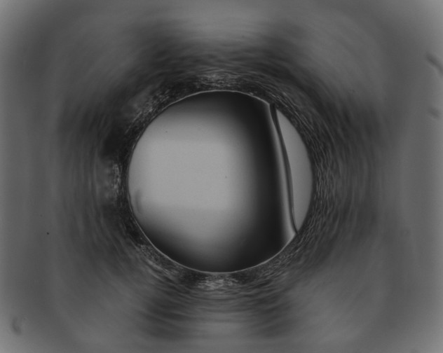 X0000091540752200709071104