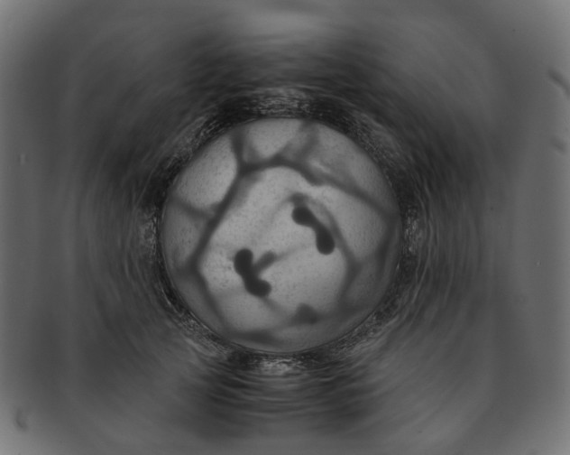 X0000091540753200709071104