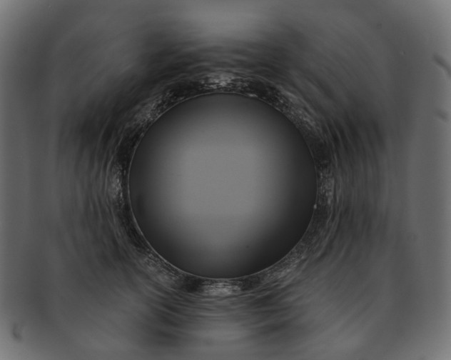 X0000091540754200709071104