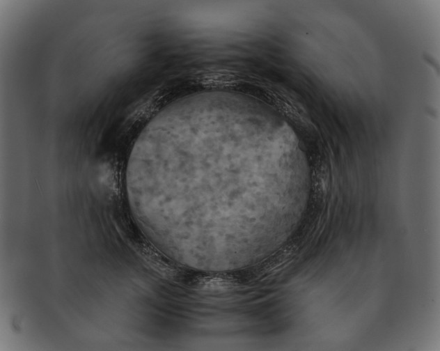 X0000091540755200709071104