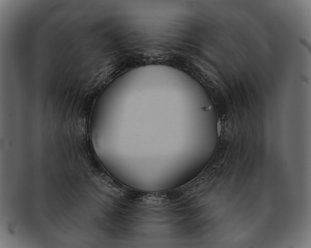 X0000091540756200709071104